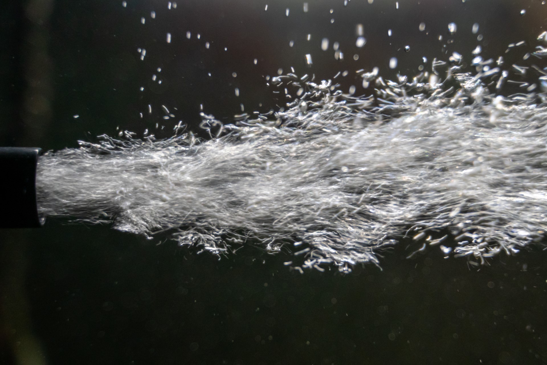 Why isn't my filter pumping water? Setup Fish Tank