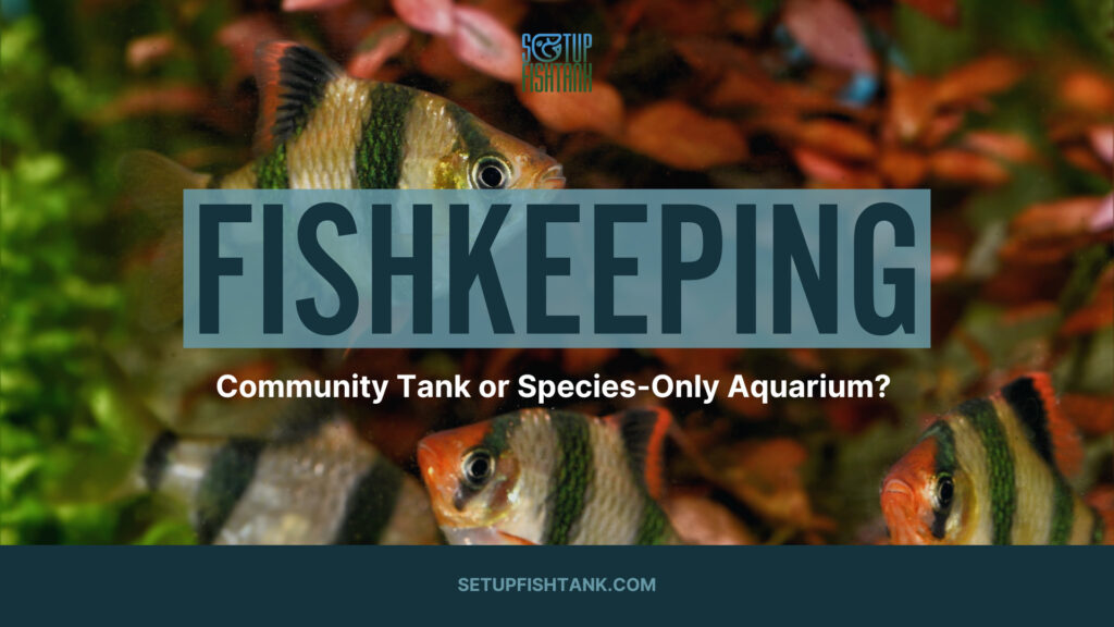 Community Tank or Species-Only Aquarium?